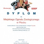 Atrakcje / Działo się...
